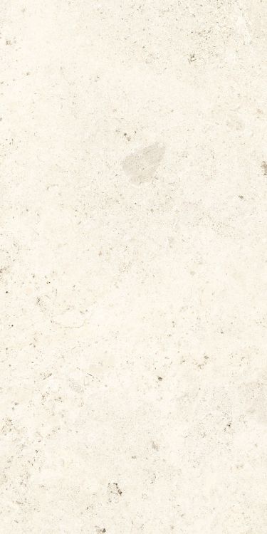 Lightstones.03 Shell Grip 24 x 48